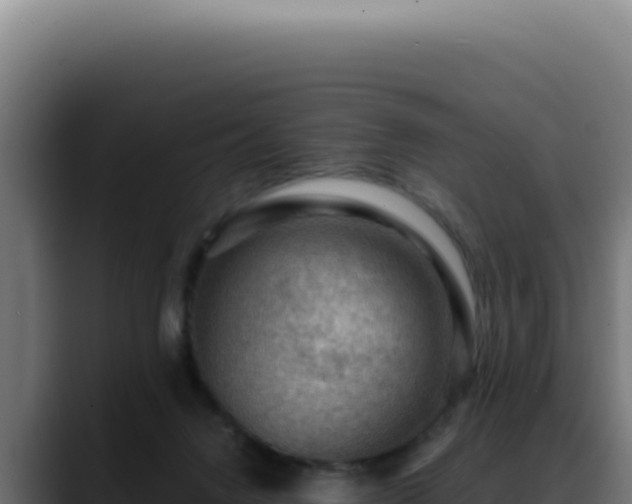 X0000088410072200705291457