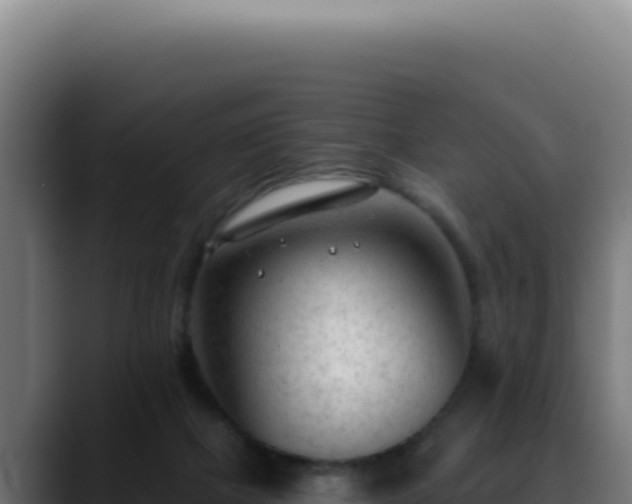 X0000088410073200705291457