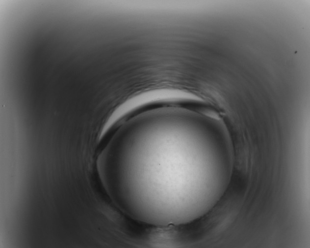 X0000088410077200705291457