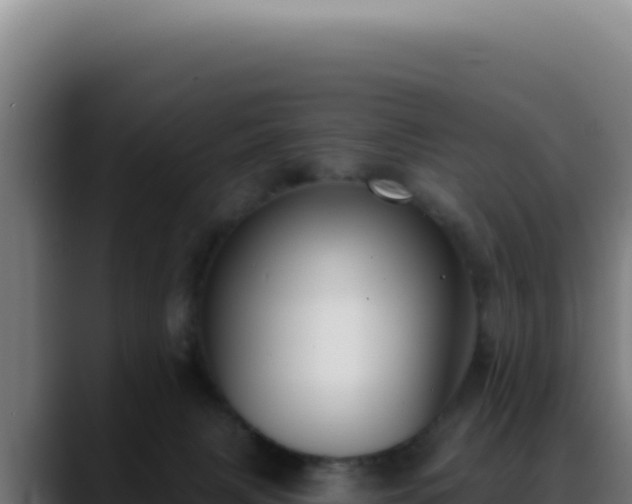 X0000088410079200705291457