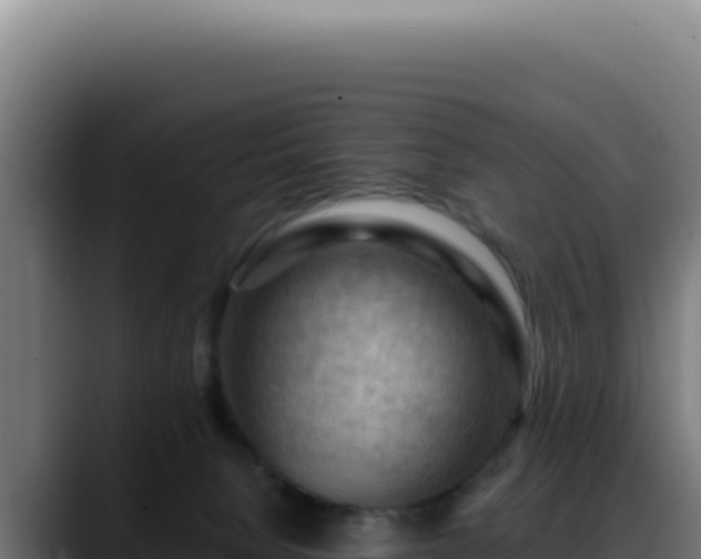 X0000088410080200705291457
