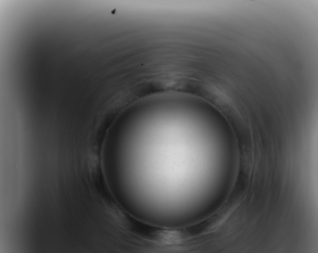 X0000088410085200705291458