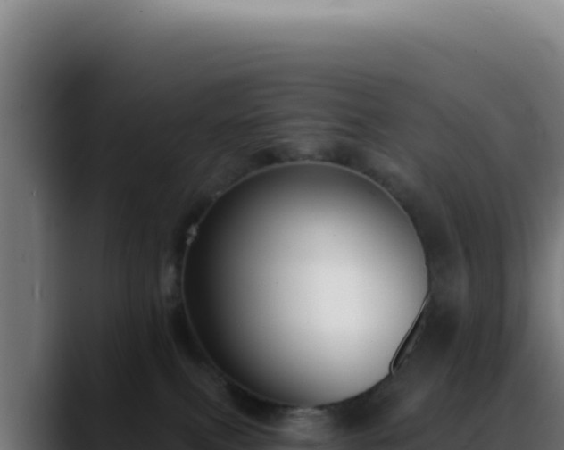 X0000088410087200705291458