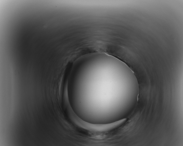 X0000088410088200705291458