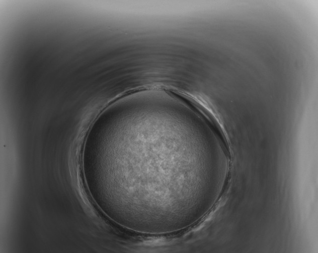 X0000088410097200705291457