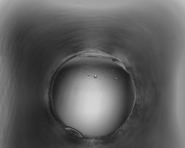 X0000088410098200705291457