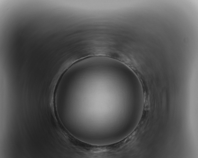 X0000088410099200705291457