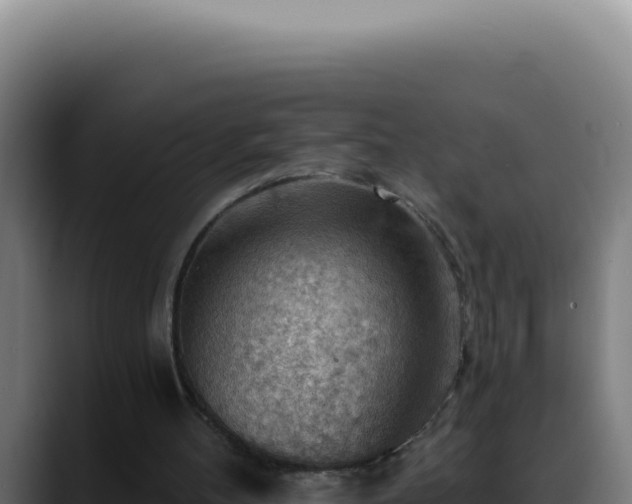 X0000088410100200705291457