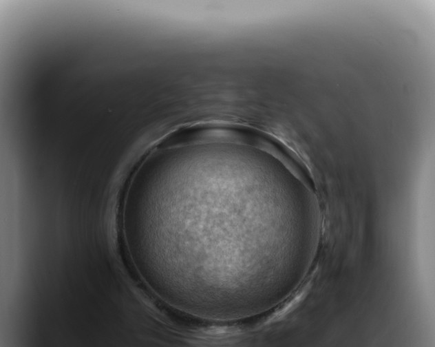 X0000088410101200705291457