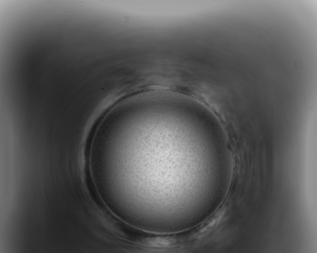 X0000088410102200705291457
