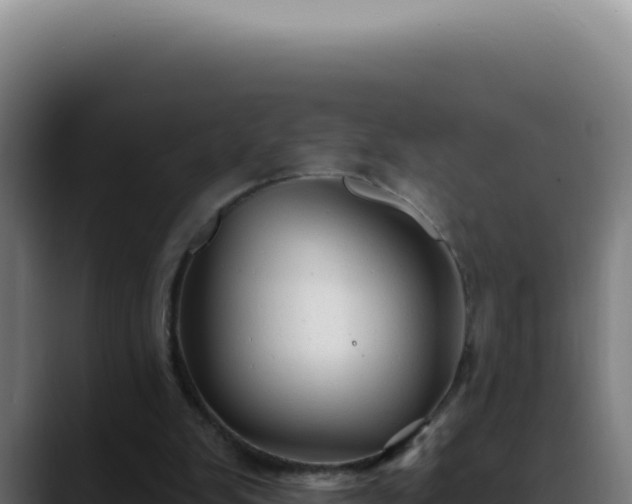 X0000088410103200705291457