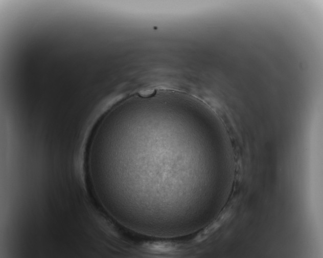 X0000088410104200705291457