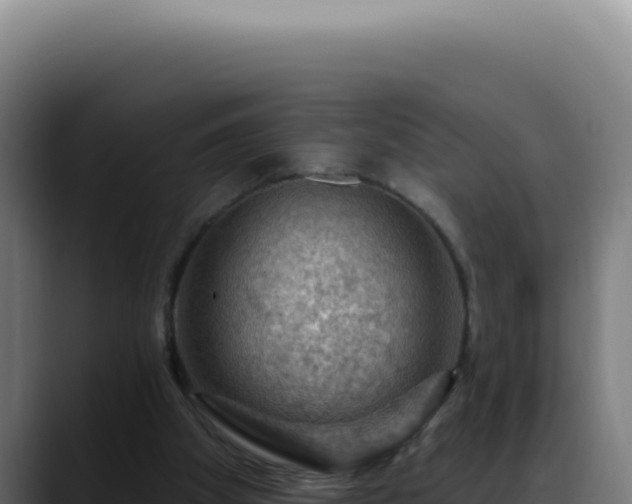 X0000088410105200705291457
