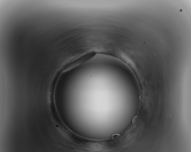 X0000088410106200705291457