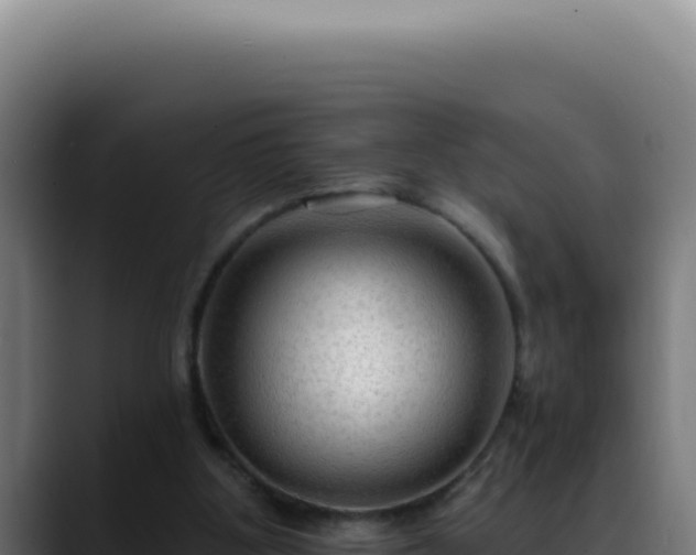 X0000088410107200705291457