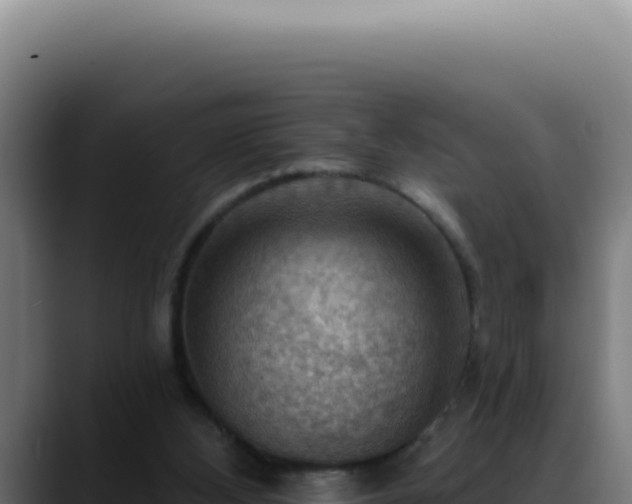 X0000088410108200705291457