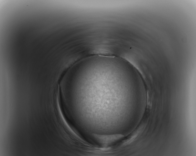 X0000088410109200705291457