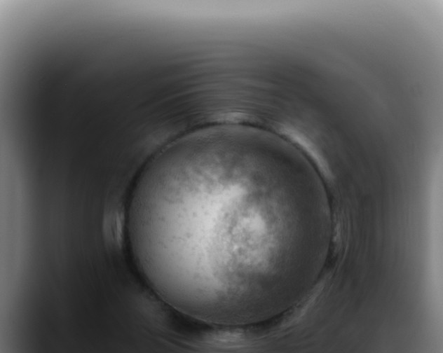 X0000088410110200705291457