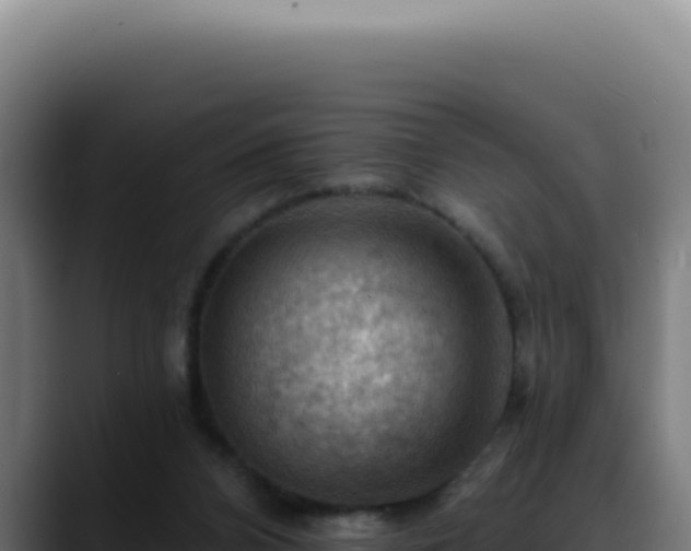 X0000088410112200705291457