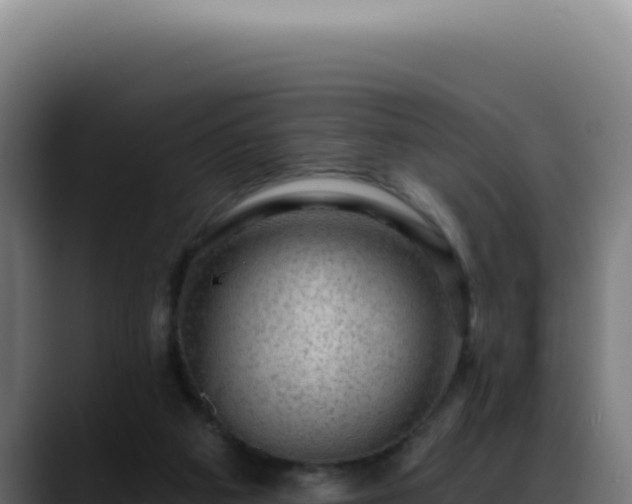 X0000088410113200705291457