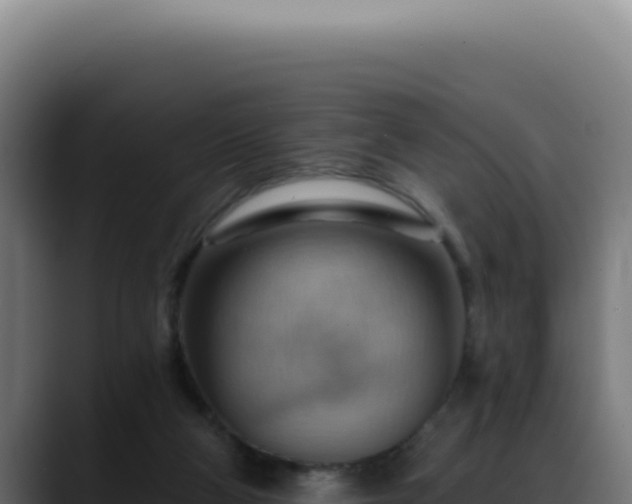 X0000088410114200705291457