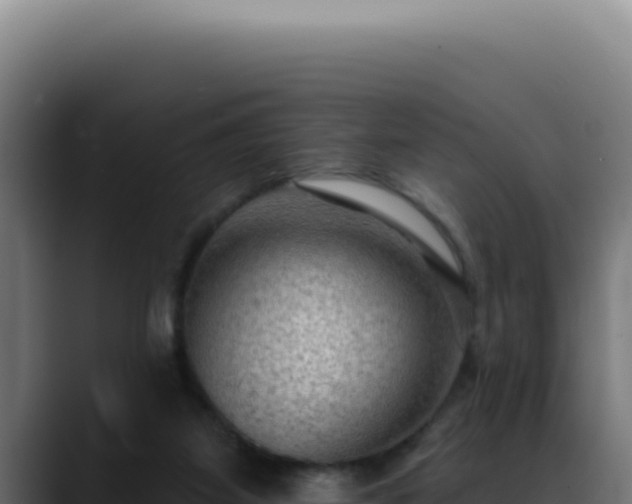 X0000088410115200705291457