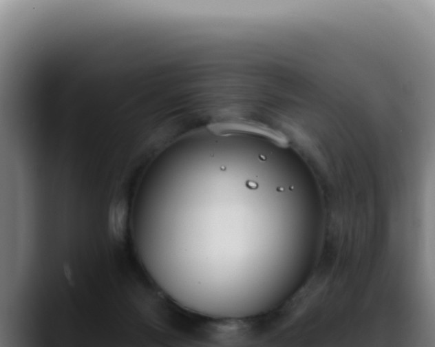 X0000088410118200705291457
