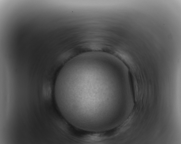 X0000088410120200705291457