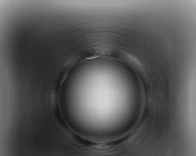 X0000088410121200705291457
