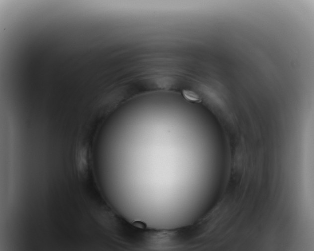 X0000088410122200705291457