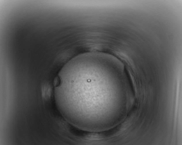 X0000088410123200705291457