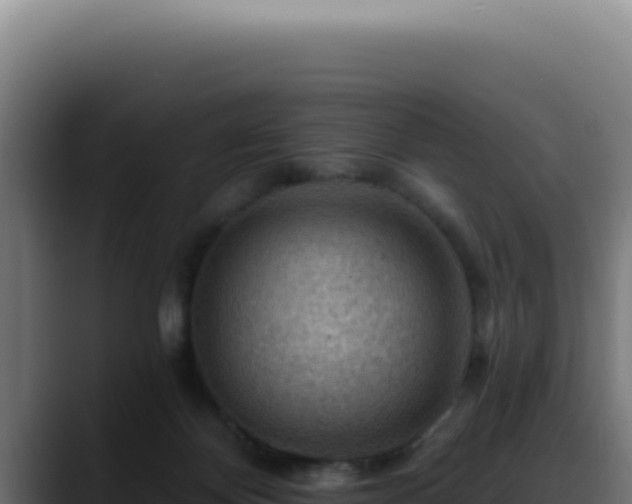 X0000088410124200705291457