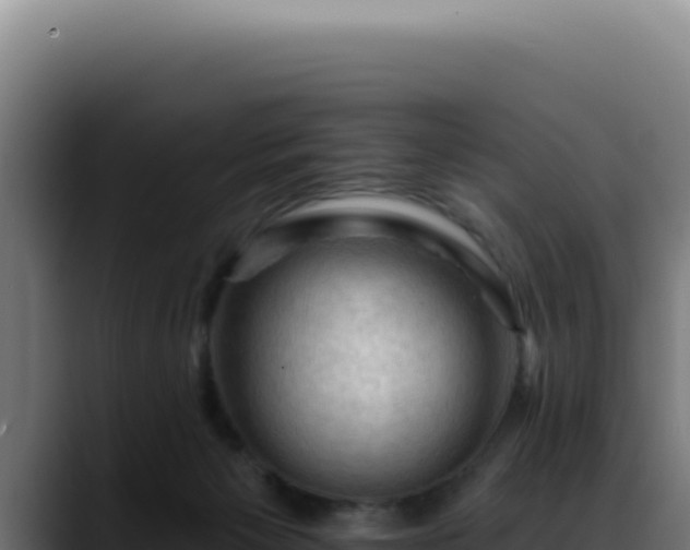 X0000088410125200705291457