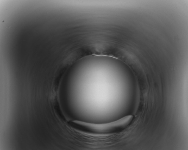 X0000088410129200705291457
