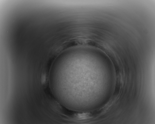 X0000088410134200705291457