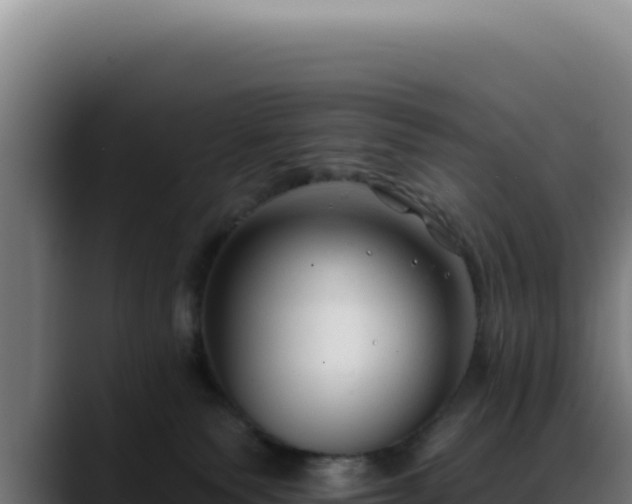 X0000088410135200705291457