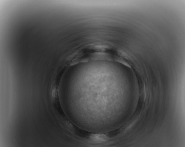 X0000088410137200705291457