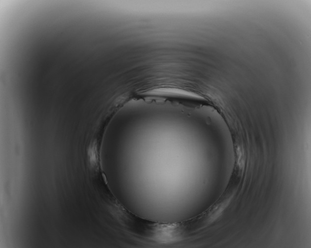 X0000088410143200705291456