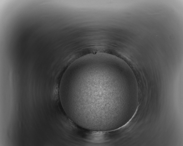 X0000088410144200705291456
