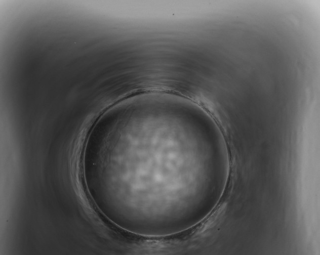 X0000088410145200705291456