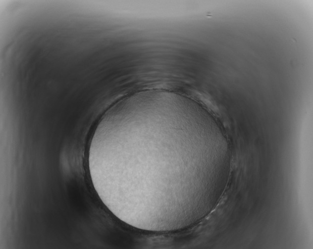 X0000088410146200705291456