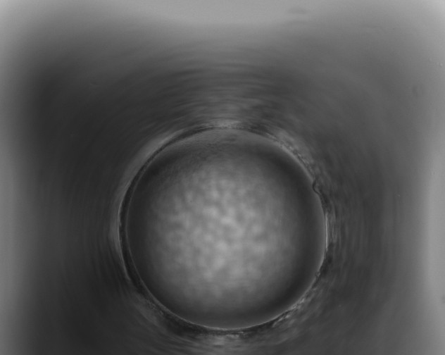 X0000088410147200705291456
