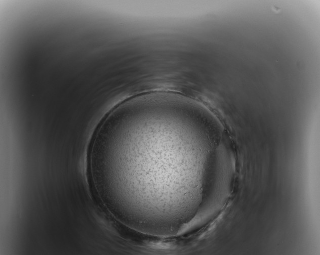 X0000088410148200705291456