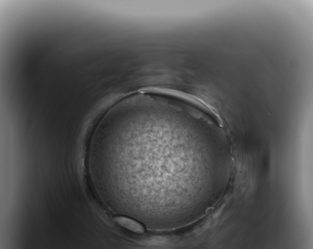X0000088410149200705291456