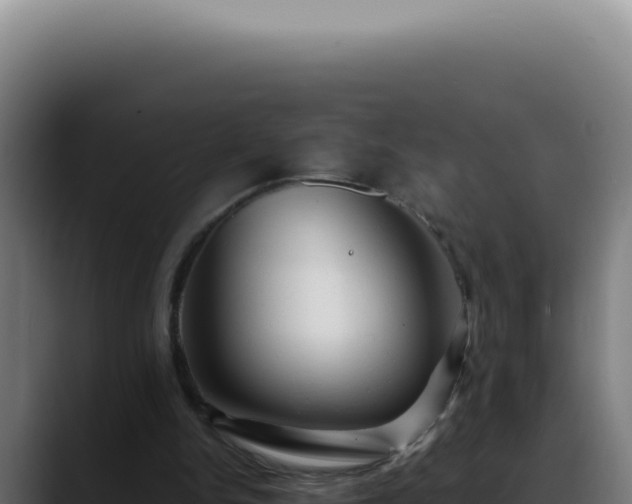 X0000088410150200705291456