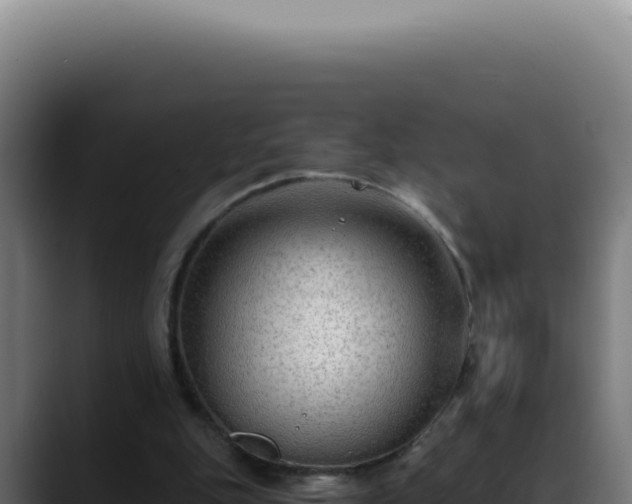 X0000088410151200705291456