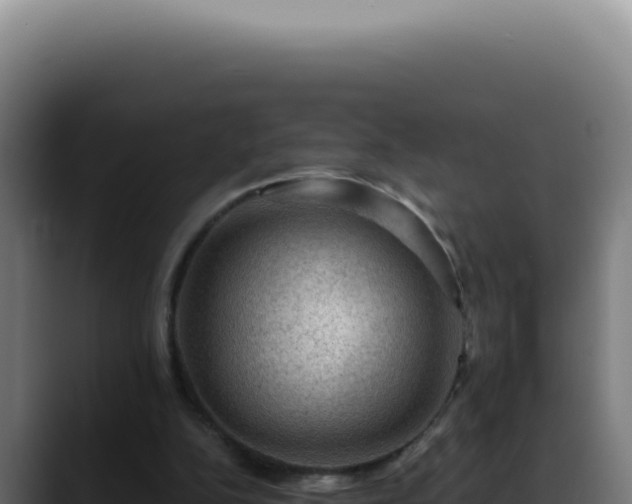 X0000088410152200705291456