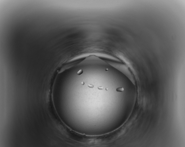 X0000088410153200705291456