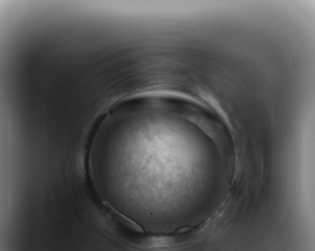 X0000088410154200705291456