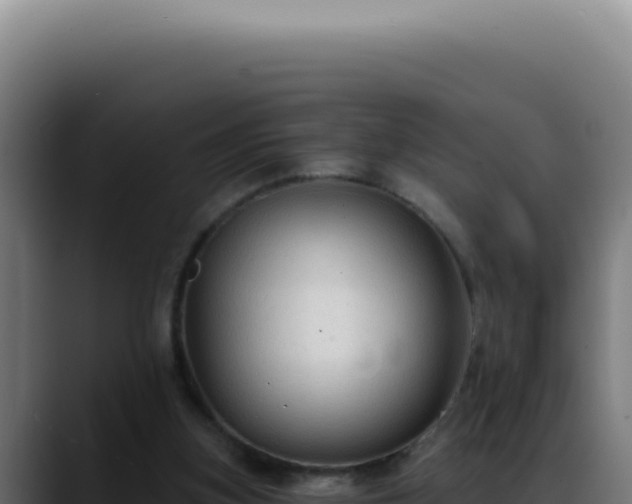 X0000088410155200705291456